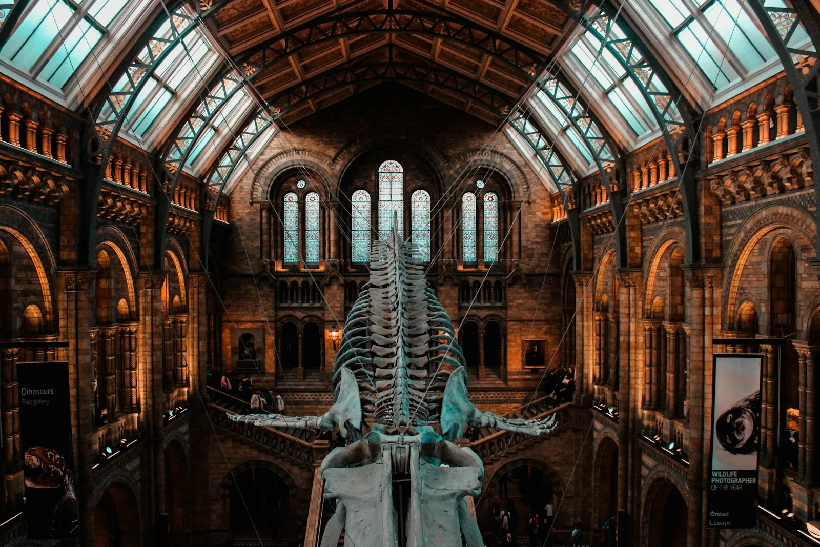 Image showing inside view of a museum