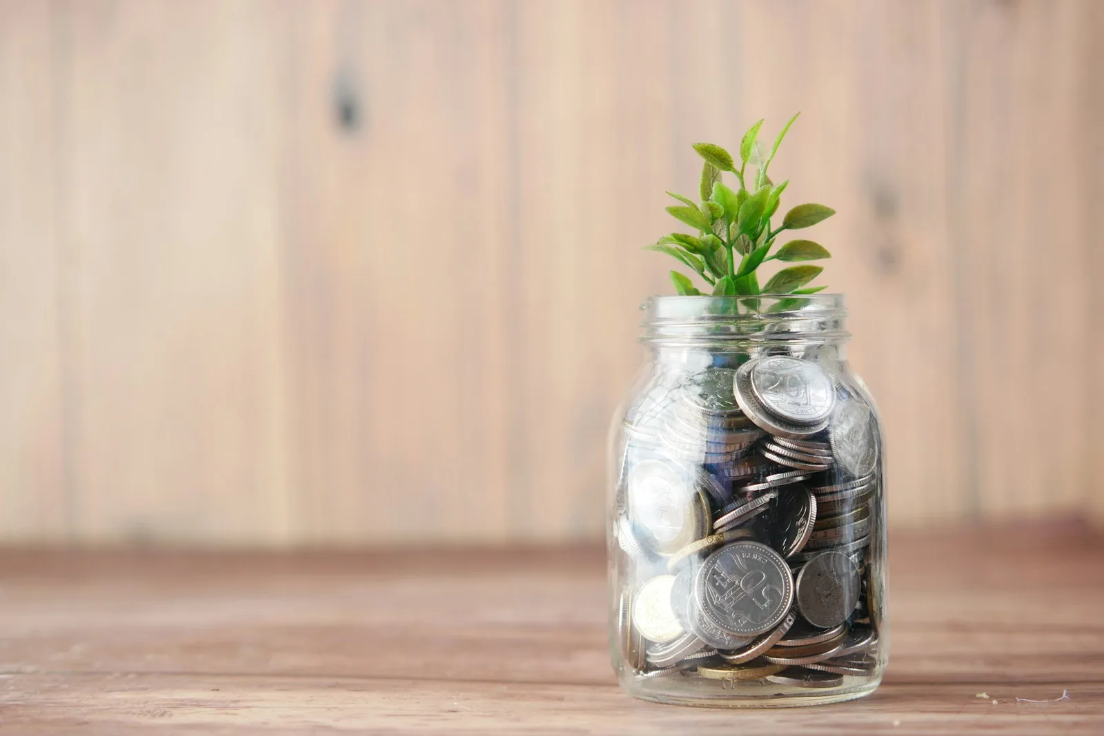 A jar of coin with a sapling inside of it, as a sign of growth in investments.