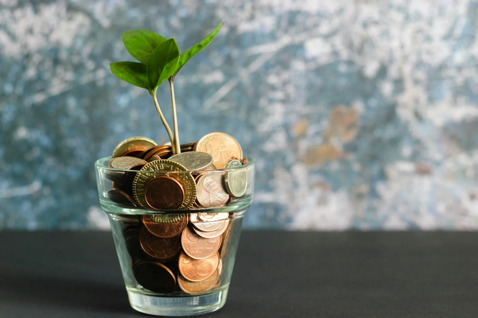 Photo of a sapling coming out of a glass filled with coin, showing signs of financial growth